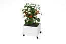 Classic Rolling Planter Planter Vita