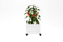Classic Rolling Planter Planter Vita