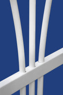 Dublin Arbor Arbor na