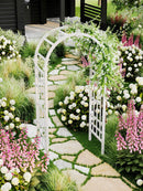 Athens Arbor Arbor Vita