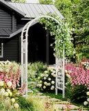 Athens Arbor Arbor Vita