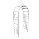 Athens Arbor Arbor Vita
