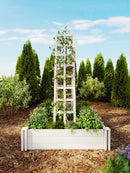 Classic Ladder Trellis Trellis Vita