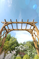 Heartwood Arbor Arbor Vita