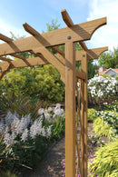 Heartwood Arbor Arbor Vita