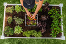 CLASSIC 3×5 Keyhole Composting Garden Garden Vita