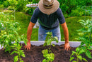 CLASSIC 6x6 Keyhole Composting Garden Garden Vita
