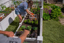 CLASSIC 8x12 Keyhole Composting Garden Garden Vita