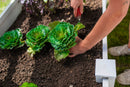CLASSIC 8x12 Keyhole Composting Garden Garden Vita