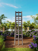 Urbana Ladder Trellis Trellis Vita