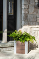 URBANA 12” Cube Planter Planter Vita