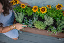 URBANA Greens Elevated Garden