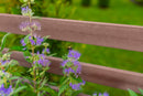 URBANA Small Parklette with Trellis