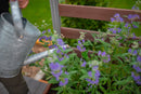URBANA Small Parklette with Trellis