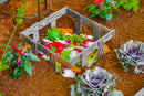 URBANA 3x5 Keyhole Composting Garden Garden Vita