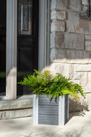 URBANA 12” Cube Planter Planter Vita