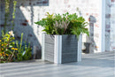 URBANA 12” Cube Planter Planter Vita