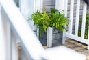 URBANA 12” Cube Planter Planter Vita