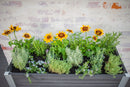 URBANA Greens Elevated Garden