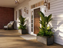 Delta Small Modern Planter - 2 Pack Vita
