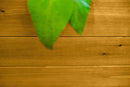 MEZZA 6x6 Keyhole Composting Garden Garden Vita