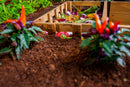 MEZZA 6x6 Keyhole Composting Garden Garden Vita