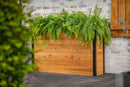 MEZZA Large Parklette Planter Planter Vita