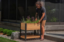 Mezza 18x32 Sprout Farm Garden Vita