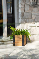 Mezza 12” Cube Planter Planter Vita