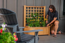 Rosewood Planter with Trellis Planter Vita