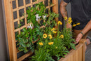 Rosewood Planter with Trellis Planter Vita