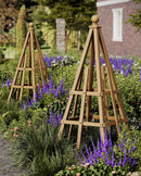 Cedar Garden Obelisk Decor Vita