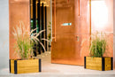 MEZZA 12x24 Planter Planter Vita