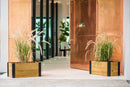MEZZA 12x24 Planter Planter Vita