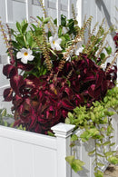 CLASSIC Huron Planter Box & Trellis Planter na