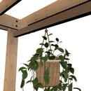 Springwood Arbor Arbor Vita
