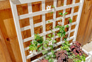 CLASSIC Huron Planter Box & Trellis Planter na