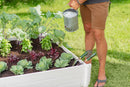 CLASSIC Hudson 4x4 Garden Bed Garden Vita