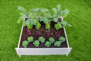 CLASSIC Hudson 4x4 Garden Bed Garden Vita