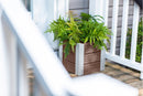 URBANA 12” Cube Planter