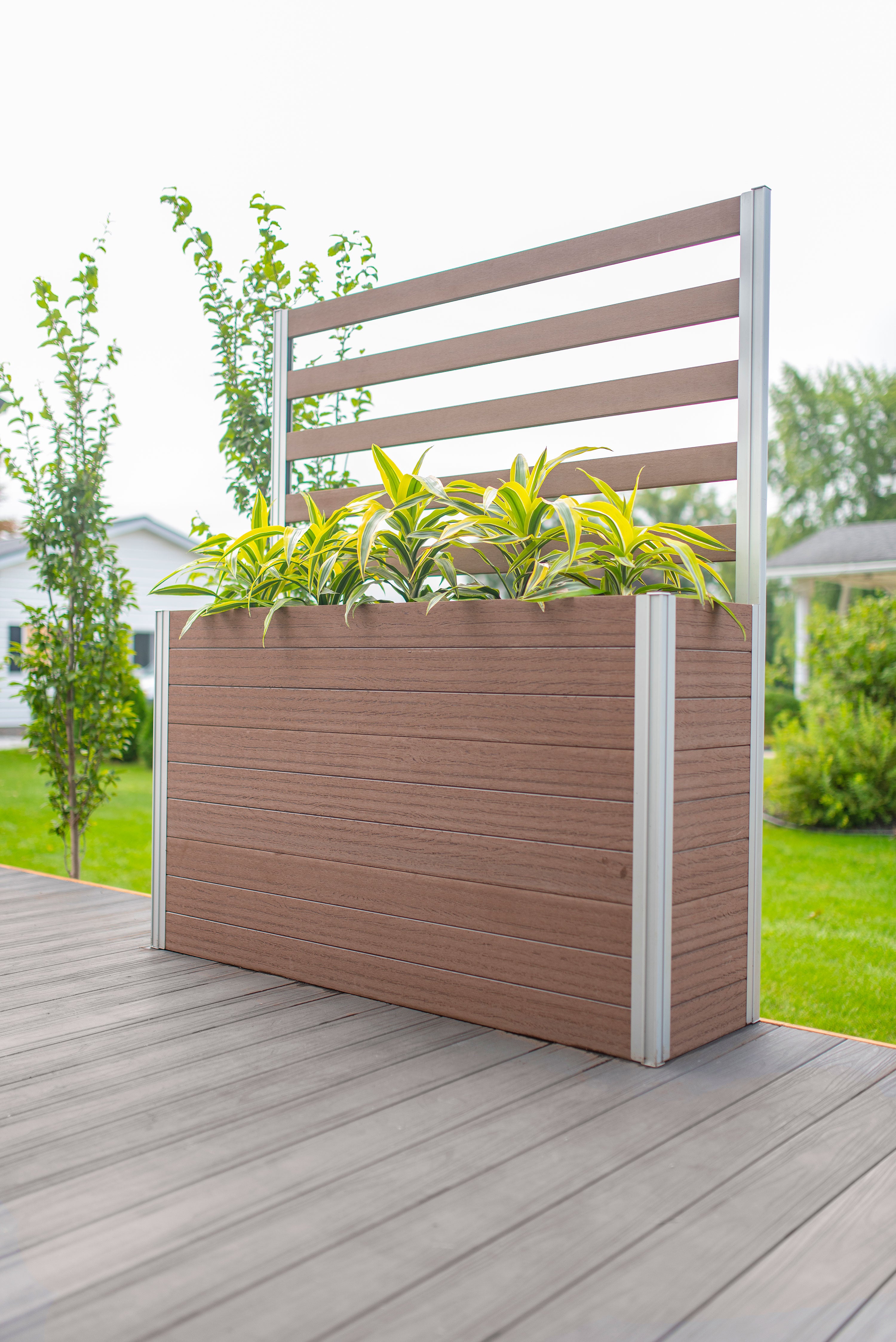 planter with trellis modern Urbana Large Parklette with Trellis Espresso Brown
