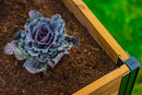 MEZZA 4x4 Keyhole Composting Garden Garden Vita