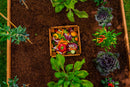 MEZZA 4x4 Keyhole Composting Garden Garden Vita
