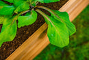 MEZZA 4x4 Keyhole Composting Garden Garden Vita
