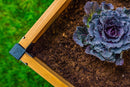 MEZZA 3x5 Keyhole Composting Garden Garden Vita