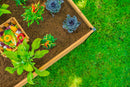MEZZA 3x5 Keyhole Composting Garden Garden Vita