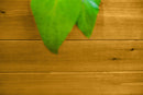 MEZZA 3x5 Keyhole Composting Garden Garden Vita