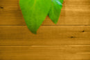 Mezza 22” Cube Planter Planter Vita