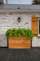 MEZZA Large Parklette Planter Planter Vita