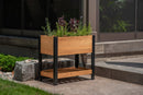 Mezza 18x30 Sprout Farm Garden Vita